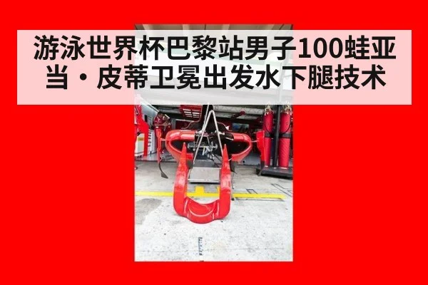 游泳世界杯巴黎站男子100蛙亚当·皮蒂卫冕出发水下腿技术